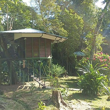 Finca Valeria Treehouses Glamping Cocles Ngoại thất bức ảnh