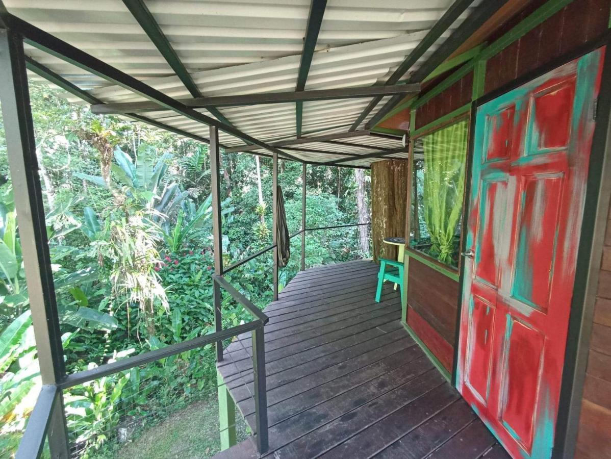 Finca Valeria Treehouses Glamping Cocles Ngoại thất bức ảnh