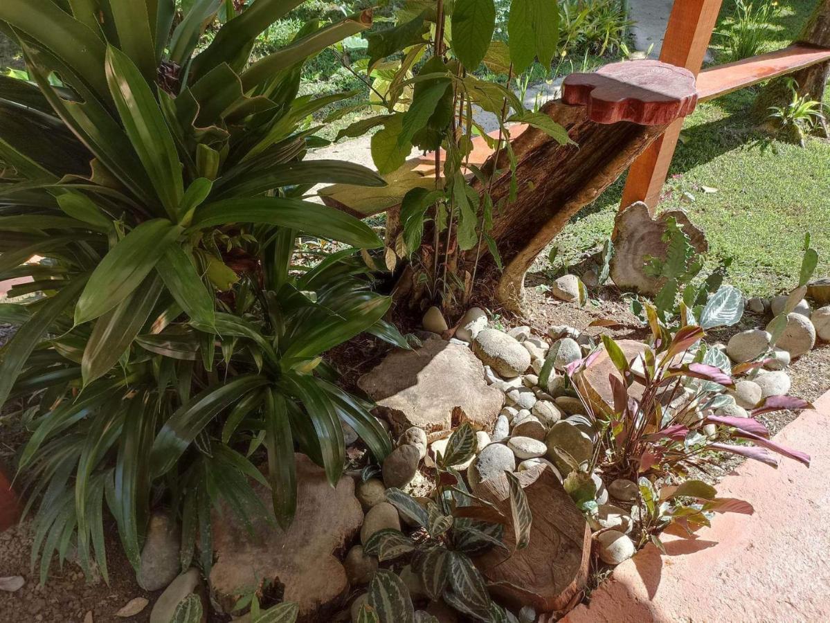 Finca Valeria Treehouses Glamping Cocles Ngoại thất bức ảnh